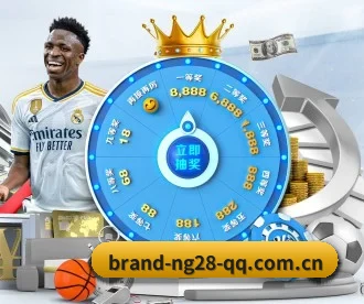 南宫体育 APP 深度功能（NG28 SPORTS）
