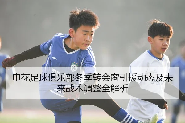申花足球俱乐部冬季转会窗引援动态及未来战术调整全解析 - NG28 SPORTS